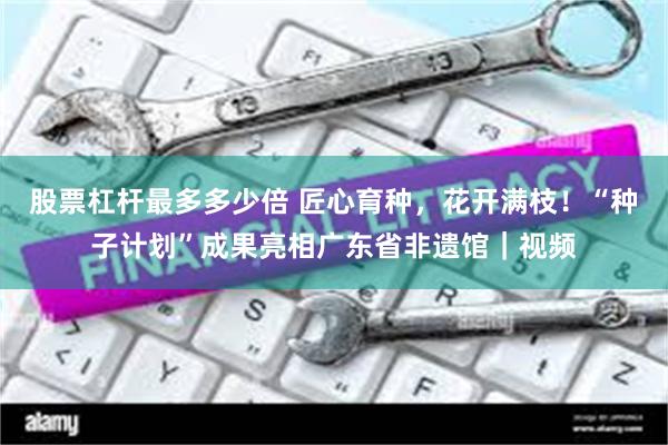 股票杠杆最多多少倍 匠心育种，花开满枝！“种子计划”成果亮相广东省非遗馆｜视频