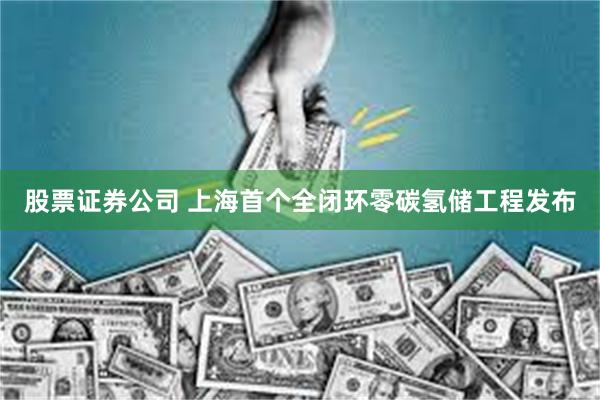 股票证券公司 上海首个全闭环零碳氢储工程发布