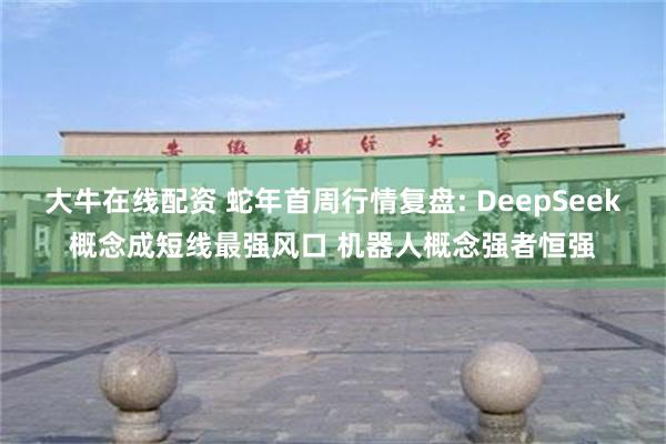 大牛在线配资 蛇年首周行情复盘: DeepSeek概念成短线最强风口 机器人概念强者恒强