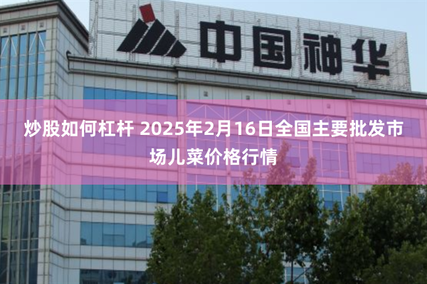 炒股如何杠杆 2025年2月16日全国主要批发市场儿菜价格行情